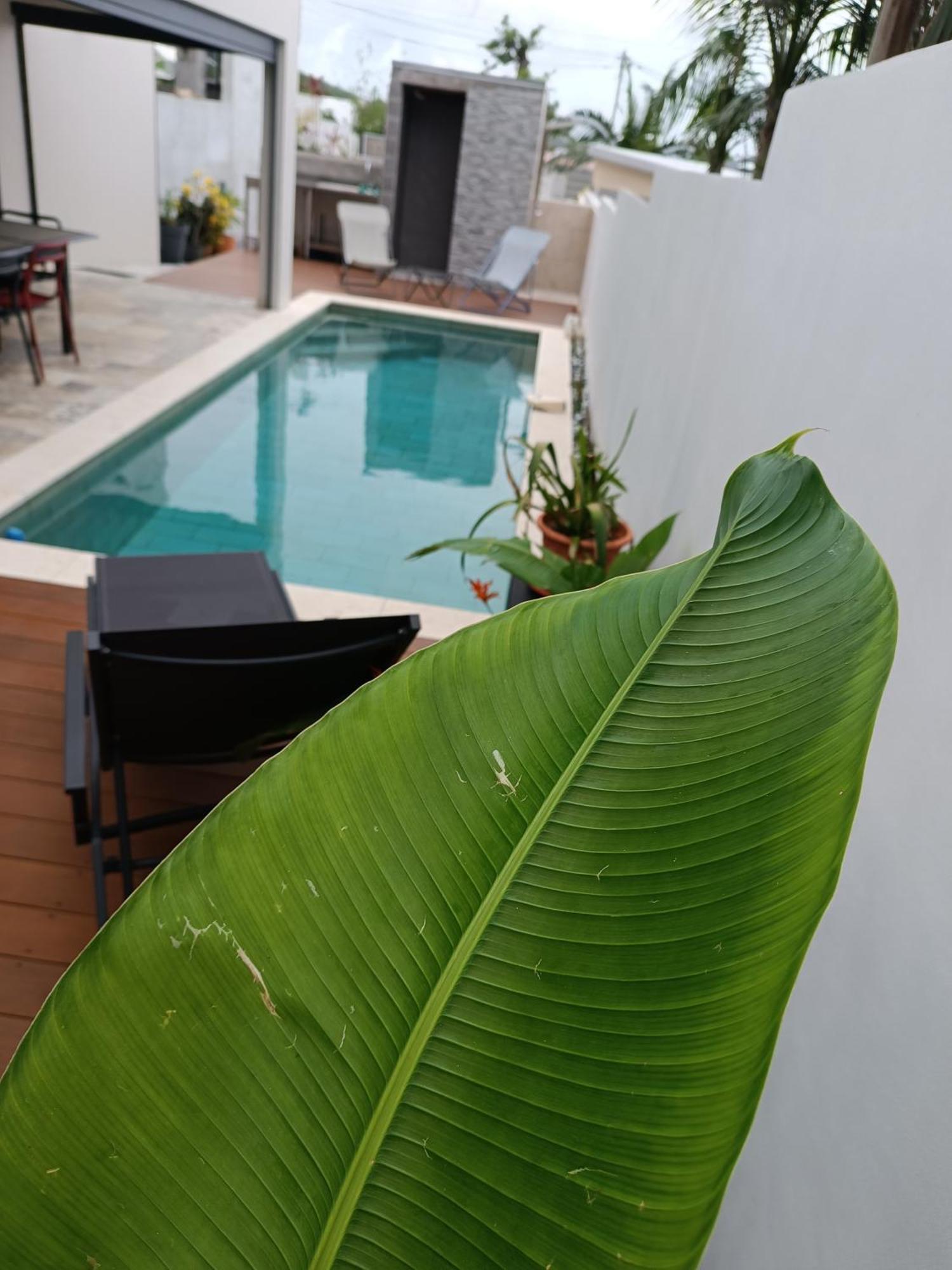 Villa O'Lhaya Piscine Pivee 圣若瑟 外观 照片