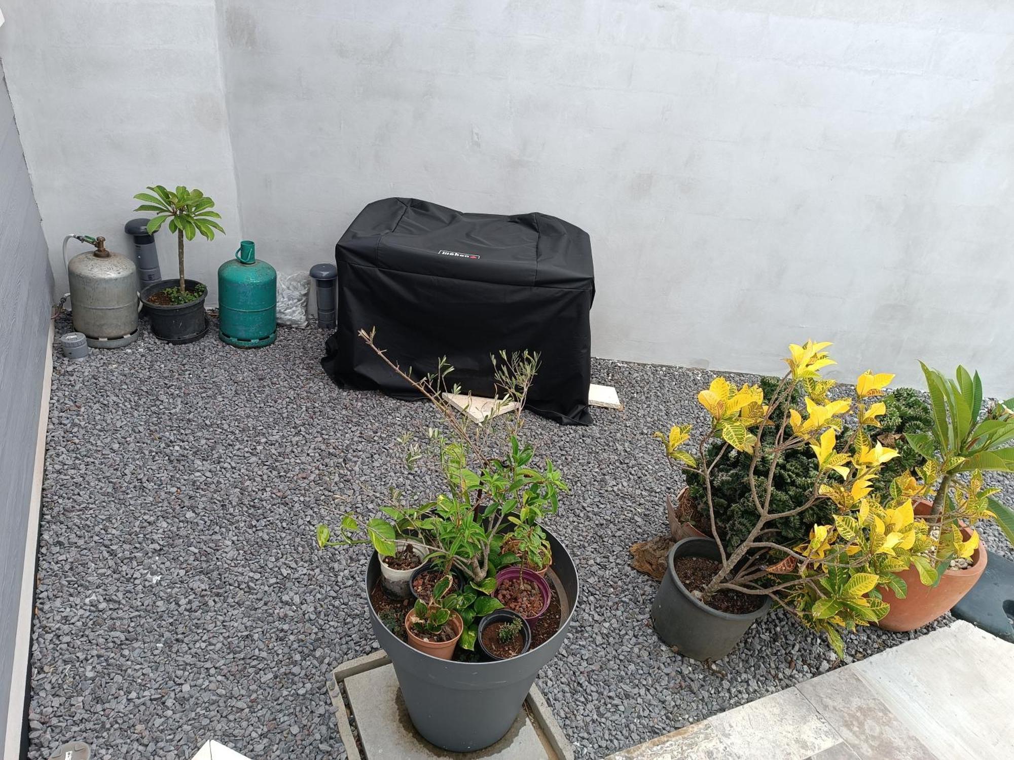 Villa O'Lhaya Piscine Pivee 圣若瑟 外观 照片