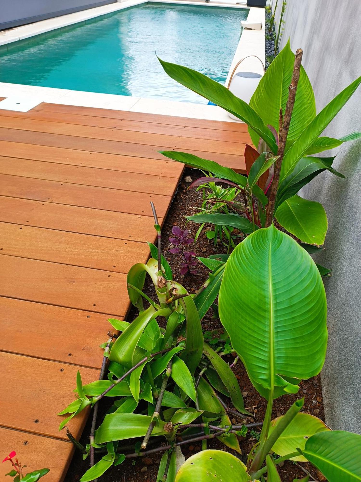 Villa O'Lhaya Piscine Pivee 圣若瑟 外观 照片